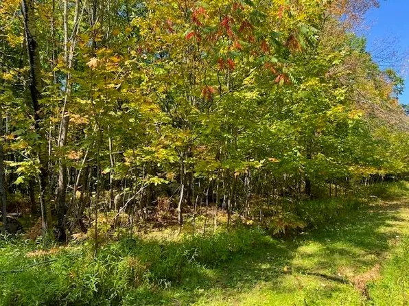 Maple Ave, Goodman, WI 54125