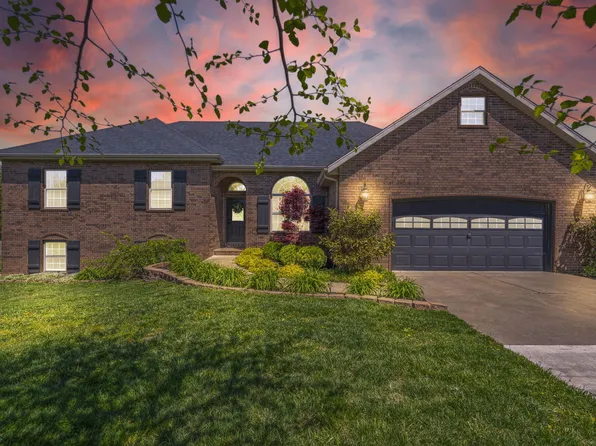 413 Bailiwick Drive, Rogersville, MO 65742