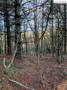 13 Speckled Drive, Laurel Springs, NC, 28644