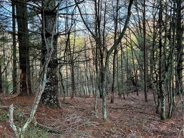 13 Speckled Drive, Laurel Springs, NC 28644