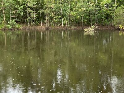 448 Northside Rd, Maynard, AR, 72444