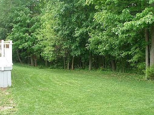 Private Wooded Lot