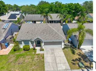 1204 Sawdust Ct, Valrico, FL 33596