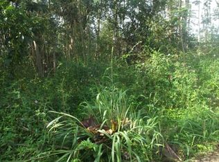 Pahoa Rd LOT 665, Pahoa, HI 96778