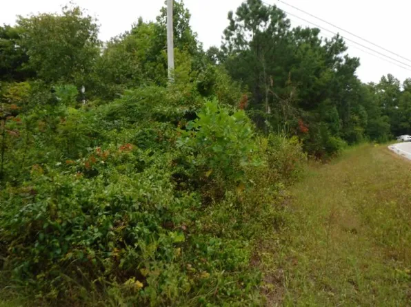 Hanging Limb Hwy, Crawford, TN 38554