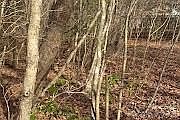 4th image of 49 Harmony Grove Rd