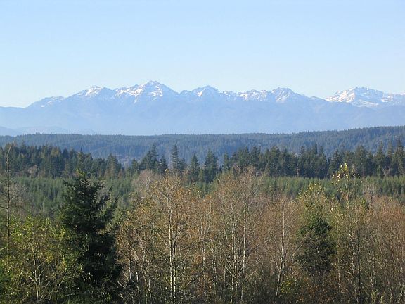 Big views of Olympics