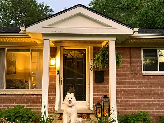 Does not include dog.