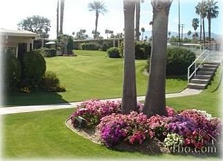 View from Living Room