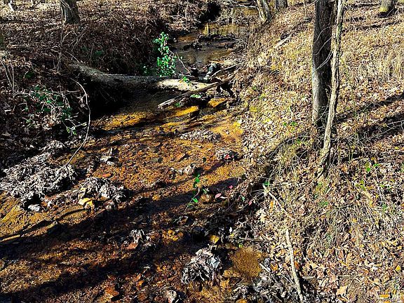 5th image of 50/ACRE S County Road 632