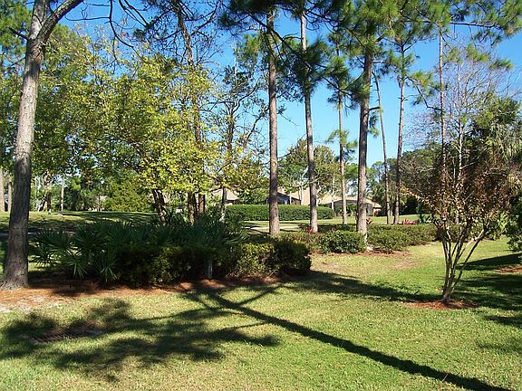 In the Back Yard
