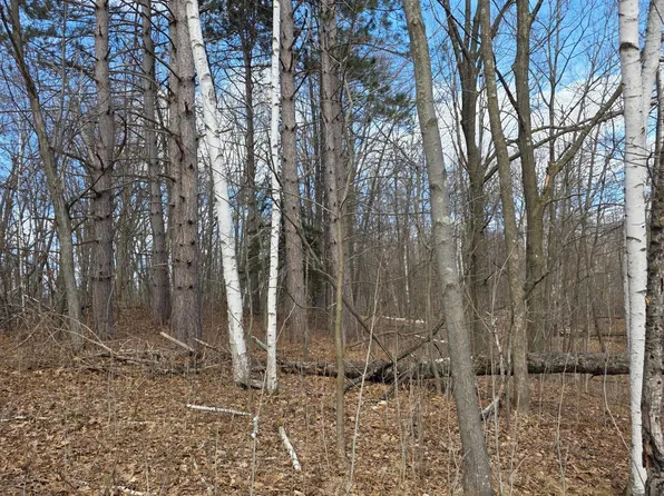 0 State Hwy W, Weyerhaeuser, WI 54895
