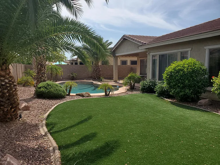 Backyard