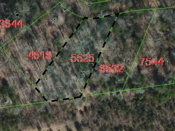 Biggerstaff Loop Lot 9, Nebo, NC 28761
