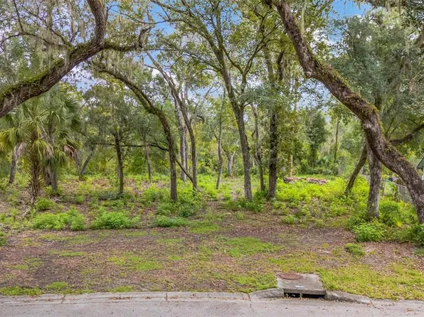 11731 GAIL DRIVE LOT 10, TEMPLE TERRACE, FL 33617