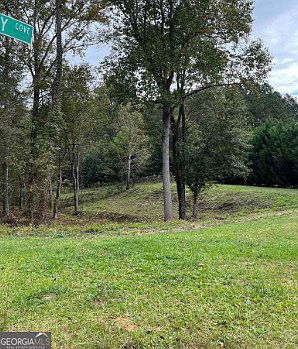 1st image of 1001 Butterfly Cove Way