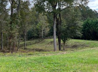 1001 Butterfly Cove Way, Locust Grove, GA 30248