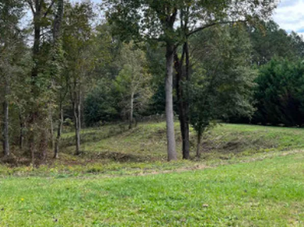 1001 Butterfly Cove Way, Locust Grove, GA 30248