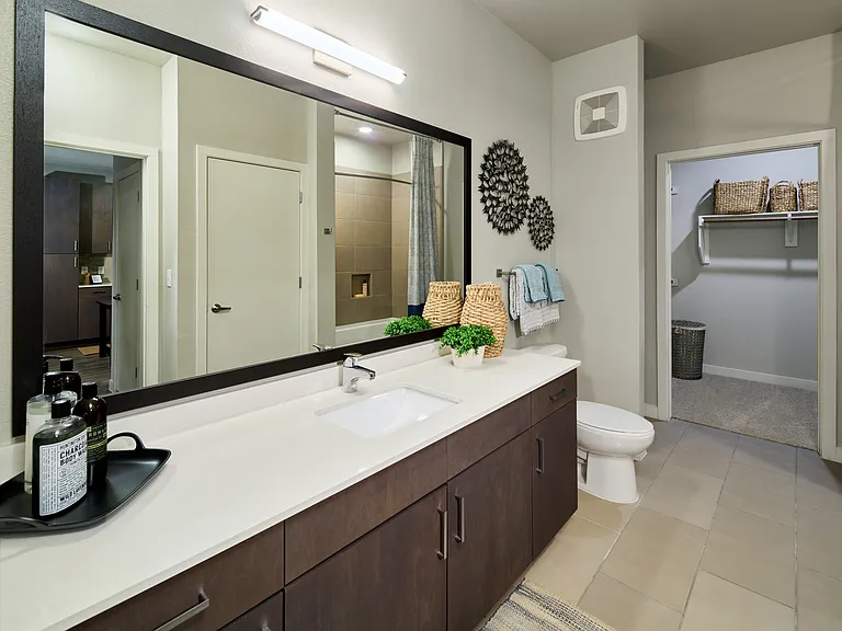 The Echo Model Bathroom