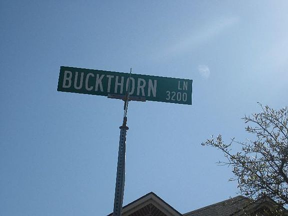 5th image of 3301 Buckthorn Ln