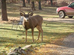 687 Long Hollow Cir, Durango, CO 81301
