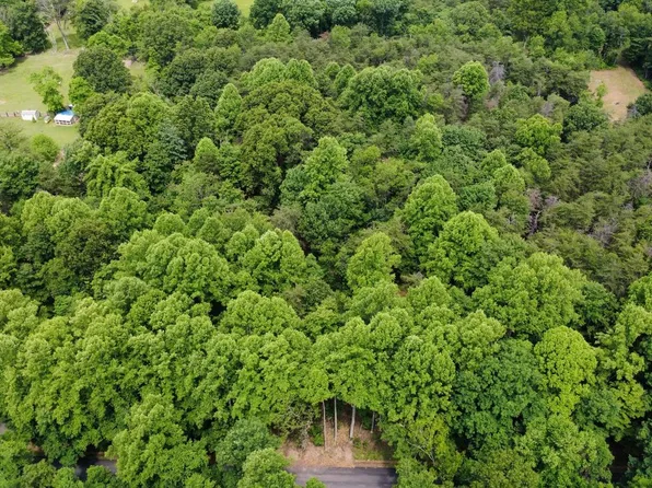 LOT 3B Critton Owl Hollow Rd, Paw Paw, WV 25434