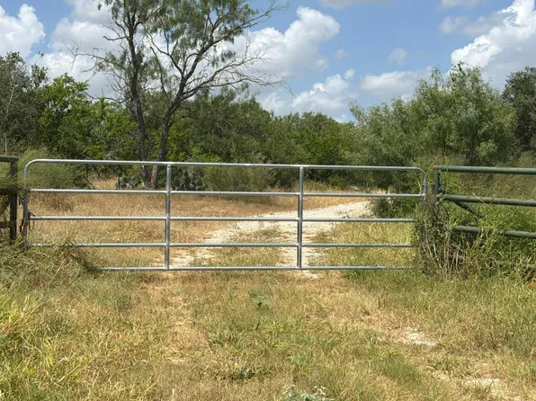 4541 State Highway 173, Bigfoot, TX 78005