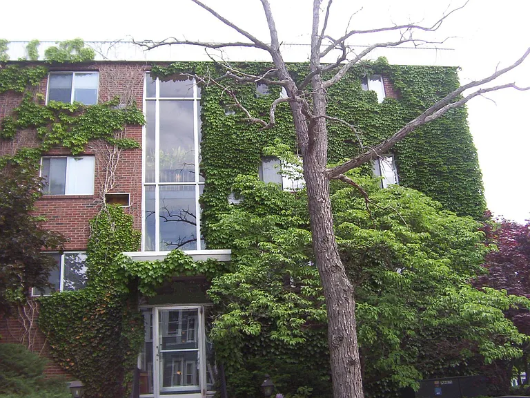 Summer St — Photo 10