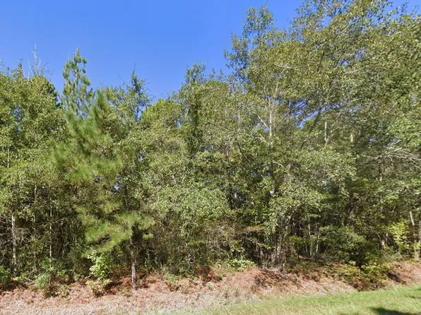 New Meadow Dr, Reevesville, SC 29471