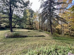 113 Jackson Hollow Rd #1, Newfield, NY 14867