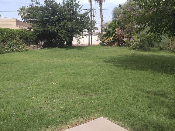 rear yard