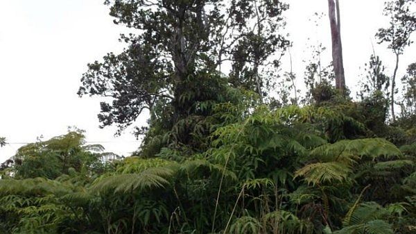 2nd image of Alii Anela St Lot 422