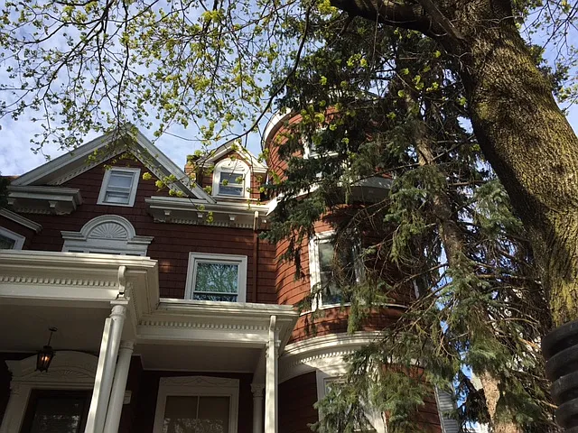Florence St — Photo 9
