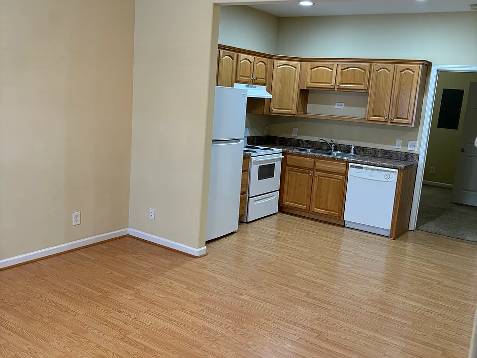 Living Room and Kitchen Area
