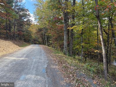 Susan Rd, Mount Jackson, VA, 22842