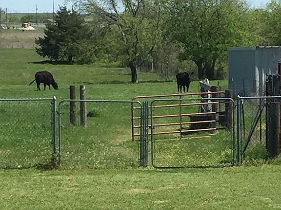 Beautiful Green Pastures