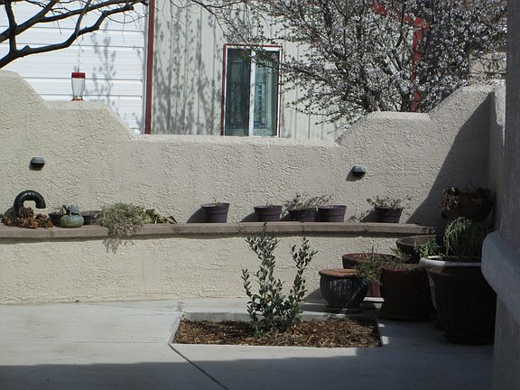 Planter in courtyard