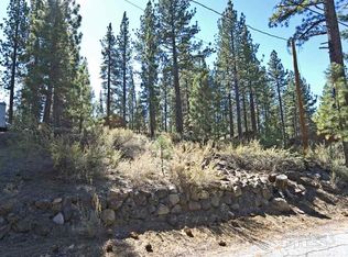 45 Pinon Rd, Markleeville, CA 96120