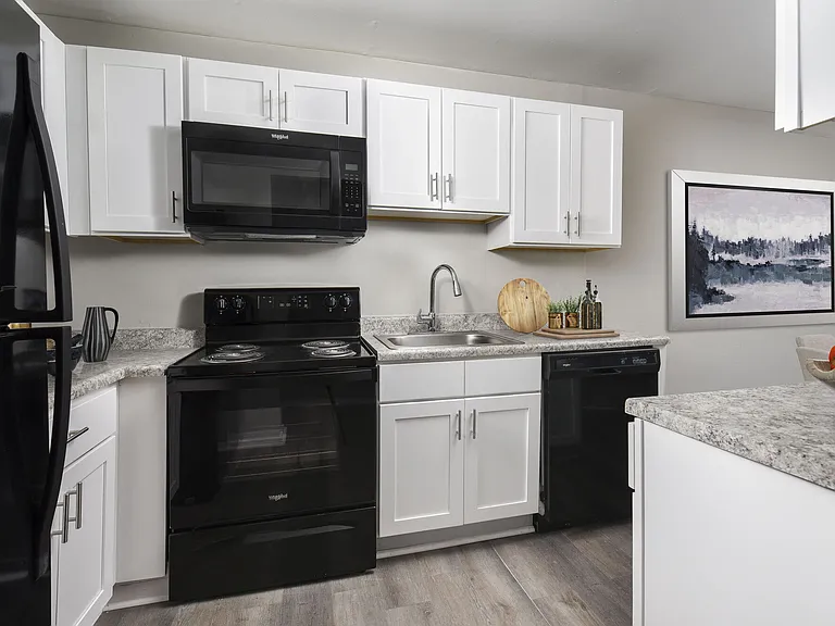 Chesapeake Pointe — Photo 3