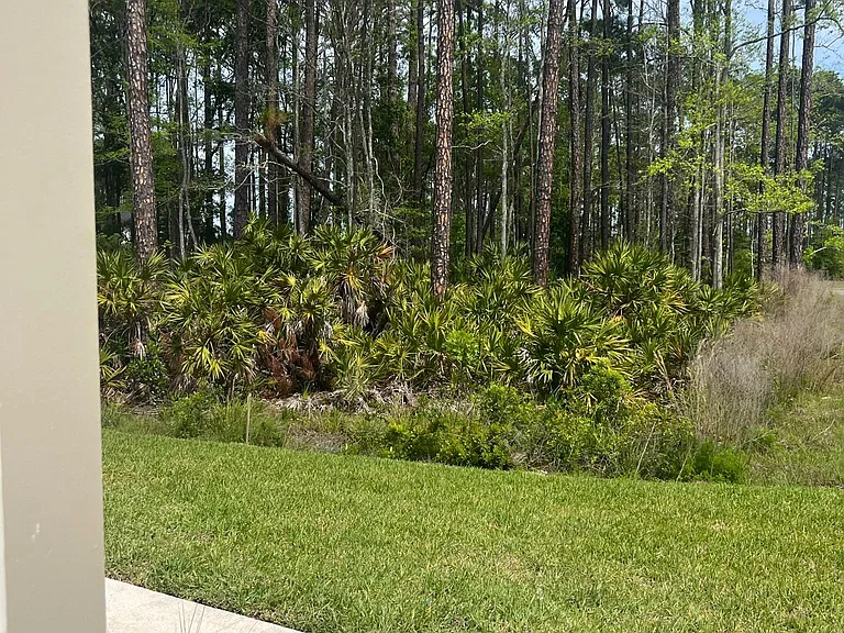 232 Mustard Hill Ct — Photo 92