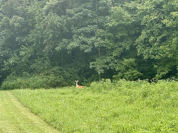 56th image of this home