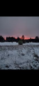 13375 Viaduct Rd, Copemish, MI, 49625