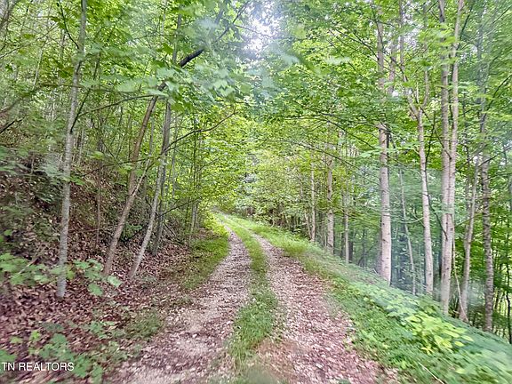 4th image of Marcum Creek Rd