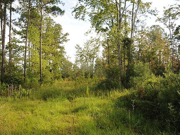 4th image of 3794 Old Dothan Rd