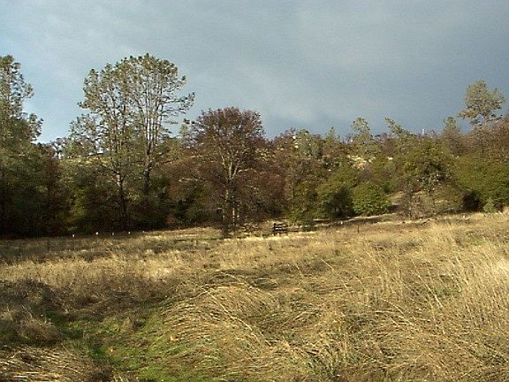 Lower pasture, ringed by NID water