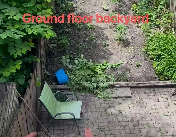 6 Givins St #UPPER — Photo 13