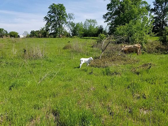 4th image of County Road 121