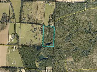 1653AC Peaden Bridge Rd, Baker, FL 32531