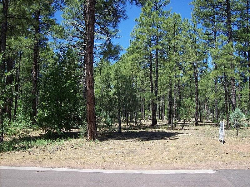 1st image of 1920 S Bristle Cone Dr