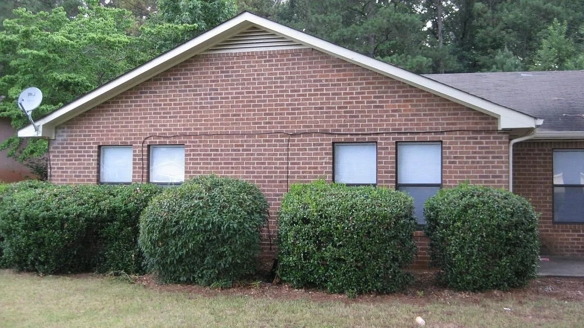 2 bed, 1125 sqft, $1,250 — Photo 1